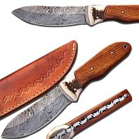 DM-2162 - Bolo Knife Full Tang Hardcore Damascus Knife 9.5in