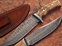 DM-2221 - White Deer Damascus Steel Hunting Knife w/ Burl Olive Wood Hand