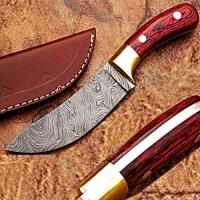 DM-2251 - Custom Made Damascus Exotic Dollar Wood Handle Buffalo Skinner