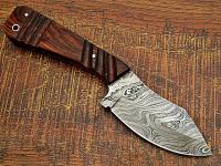 WDM-2366 - WHITE DEER SPEY BLADE Damascus Steel Hunting Skinner Knife Cocobolo Hardwood Handle