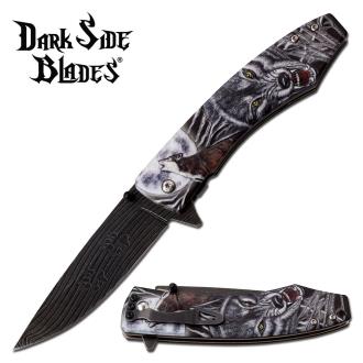 Dark Side Blades DS-A074GY Spring Assisted Knife