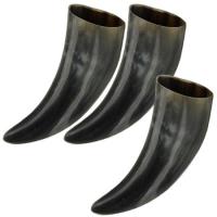 IN4204 - 3 Piece Drinking Horn Set