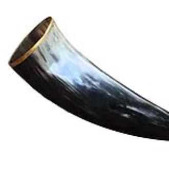 The Hooded Raven ‚Äö√Ñ√∂‚àö√ë‚àö‚àÇ‚Äö√†√∂‚àö¬¥¬¨¬®¬¨¬¢ Large Pure Brass Rim Drinking Horn Canvas Pouch Included