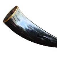 IN60841 - The Hooded Raven Large Pure Brass Rim Drinking Horn Canvas Pouch Included