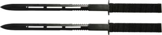 Twin Ninja Fighting Swords